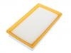 Air Filter:24547195